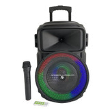 اسپیکر چمدانی مدل kts 1639