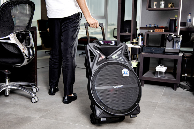 اسپیکر چمدانی Gms 11131