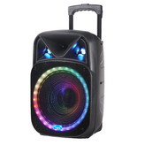 اسپیکر چمدانی ۱۵ اینچ مدل gz w1315