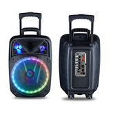 اسپیکر چمدانی ۱۵ اینچ مدل gz w1315