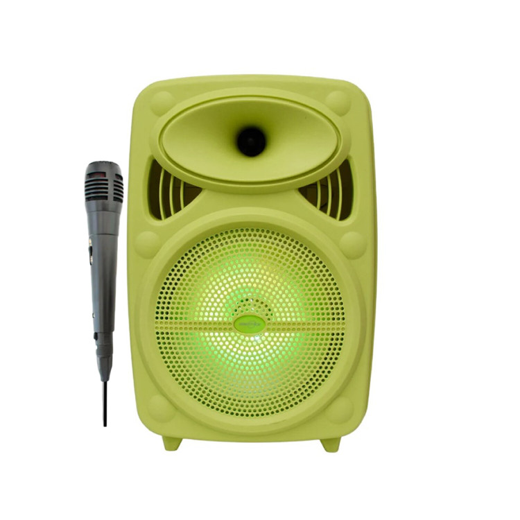 اسپیکر قابل حمل GTS 1950