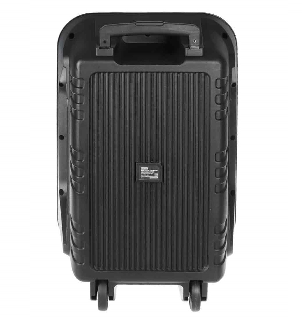 اسپیکر چمدانی KTS 2233