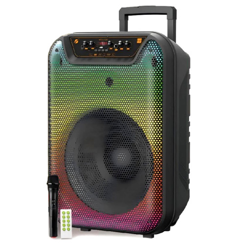 اسپیکر چمدانی KTS 2233