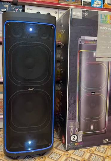 اسپیکر شارژی برقی BTS 2242
